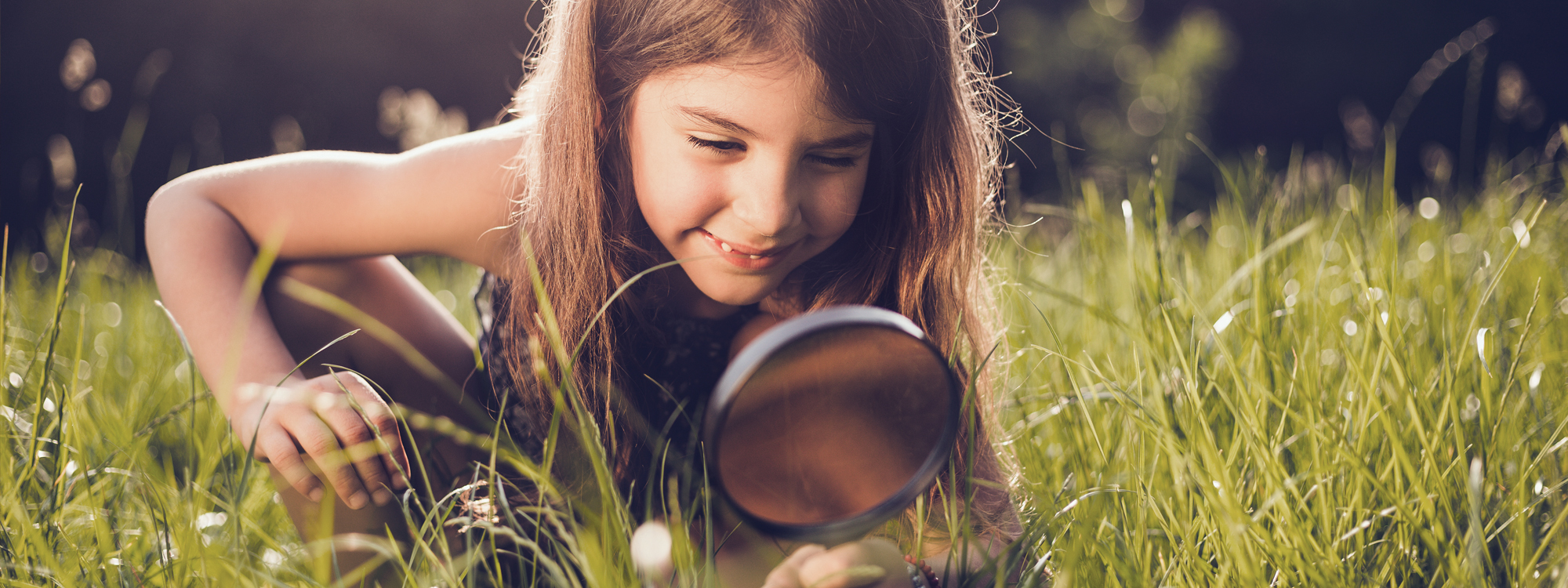 Growing Data Foundation