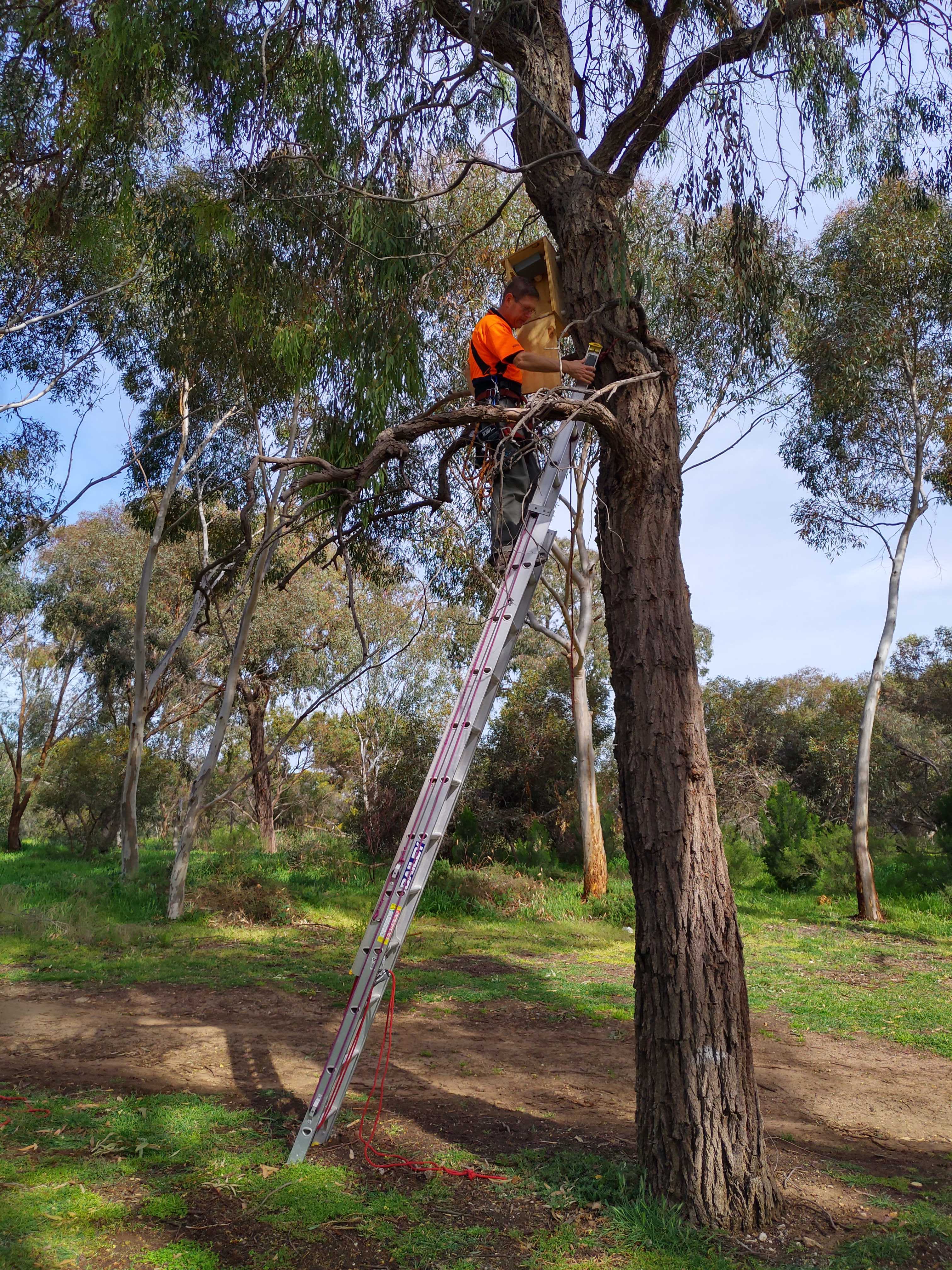 Nest box sensor installation