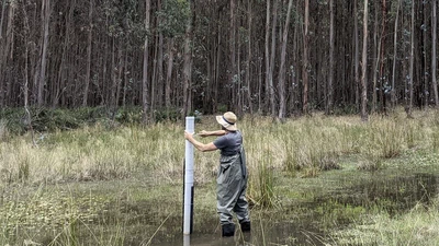 Mount Burr Wetland Restoration featured image